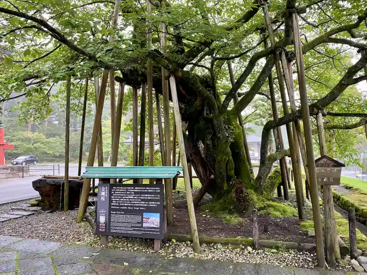 輪王寺(栃木県)
