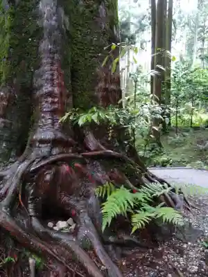 山神社(鹿児島県)