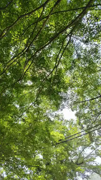下総国三山 二宮神社(千葉県)