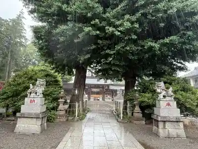亀ケ池八幡宮(神奈川県)