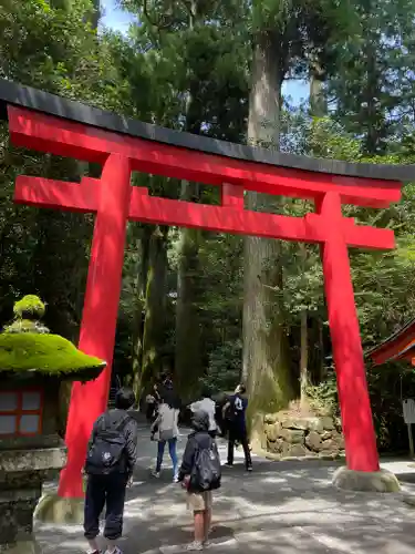 箱根神社の鳥居