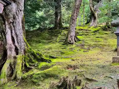 須部神社(福井県)