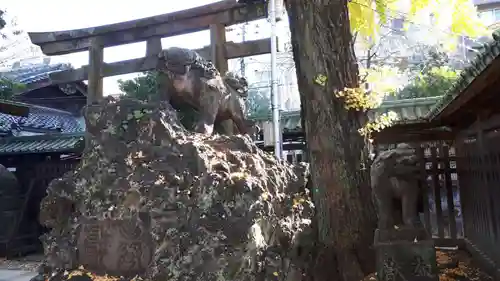 牛嶋神社の狛犬