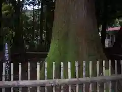 雲巌寺(栃木県)