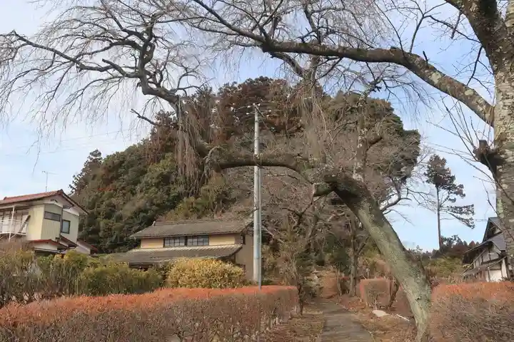天満神社の景色