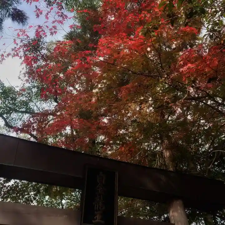 若宮神明社の自然