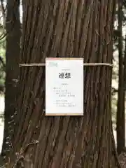 多賀神社の体験その他