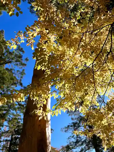 矢彦神社の自然