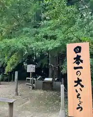 天満天神宮(茨城県)