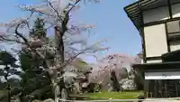 木幡山隠津島神社(二本松市)の自然