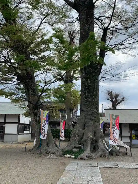 八枝神社(埼玉県)