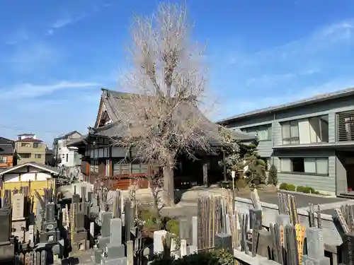 真正寺の建物その他