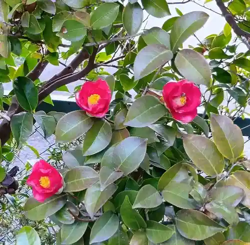 刺田比古神社(和歌山県)
