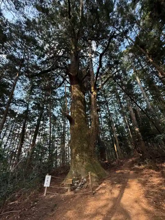 智満寺(静岡県)