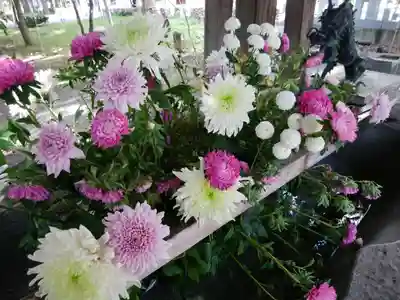 彌彦神社　(伊夜日子神社)の手水舎