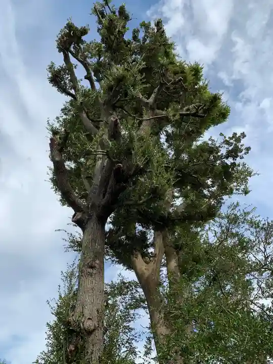 野里神社のその他建物