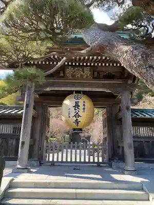 長谷寺の山門・神門