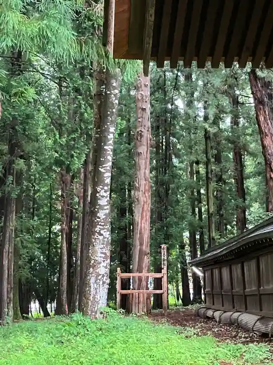 諏訪大社下社秋宮(長野県)