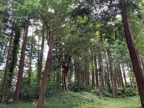 瀧口神社のその他建物