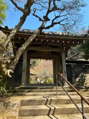 黄梅院（円覚寺塔頭）の{uncategorized: "未分類", other: "その他", undefined: "問題あり", building: "その他建物", grave: "お墓", sacred_gate: "鳥居", guardian: "狛犬", statue: "像", buddha: "仏像", history: "歴史", nature: "自然", garden: "庭園", animal: "動物", pagoda: "塔", temizu: "手水舎", mountain_gate: "山門・神門", sanctuary: "本殿・本堂", subordinate: "末社・摂社", art: "芸術", scenery: "景色", jizo: "地蔵", ema: "絵馬", goshuin: "御朱印", omikuji: "おみくじ", items: "授与品その他", amulet: "お守り", goshuincho: "御朱印帳", eats: "食事", festival: "お祭り", votive_dance: "神楽", shichigosan: "七五三参", wedding: "結婚式", experience: "体験その他", initially: "初詣", around: "周辺", anti_infection: "感染症対策"}