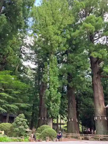河口浅間神社(山梨県)