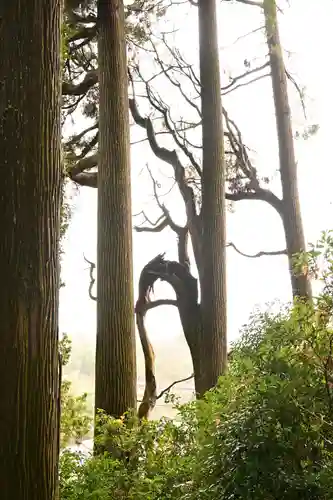 熊野鳴瀧神社(宮崎県)