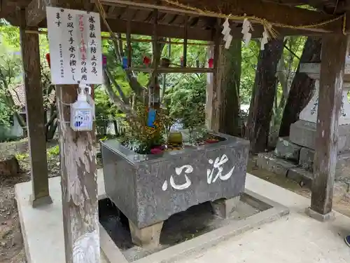 坂本八幡神社の手水