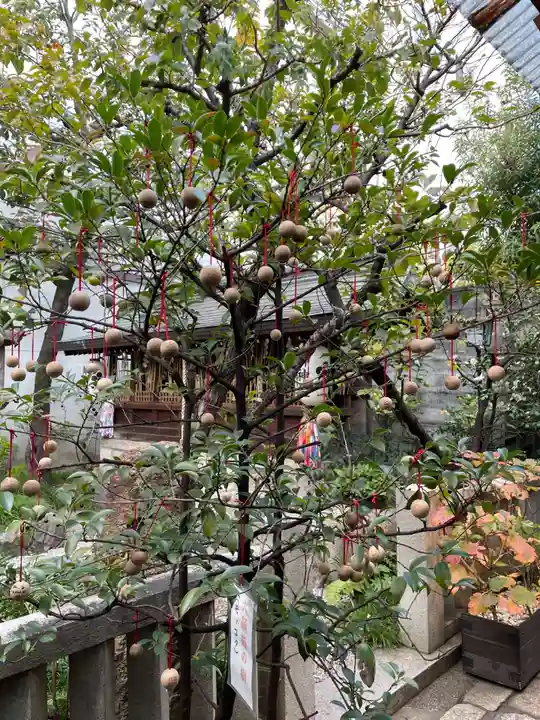 錦天満宮(京都府)