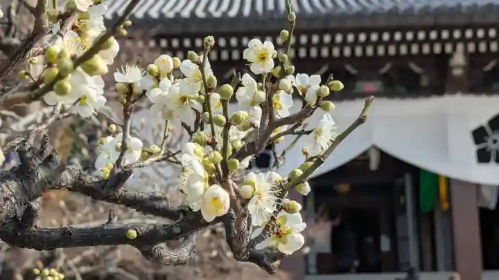 智積院(京都府)