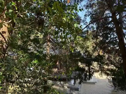 大御堂観音寺の{uncategorized: "未分類", other: "その他", undefined: "問題あり", building: "その他建物", grave: "お墓", sacred_gate: "鳥居", guardian: "狛犬", statue: "像", buddha: "仏像", history: "歴史", nature: "自然", garden: "庭園", animal: "動物", pagoda: "塔", temizu: "手水舎", mountain_gate: "山門・神門", sanctuary: "本殿・本堂", subordinate: "末社・摂社", art: "芸術", scenery: "景色", jizo: "地蔵", ema: "絵馬", goshuin: "御朱印", omikuji: "おみくじ", items: "授与品その他", amulet: "お守り", goshuincho: "御朱印帳", eats: "食事", festival: "お祭り", votive_dance: "神楽", shichigosan: "七五三参", wedding: "結婚式", experience: "体験その他", initially: "初詣", around: "周辺", anti_infection: "感染症対策"}