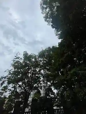 阿豆佐味天神社 立川水天宮(東京都)