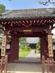 林泉寺(埼玉県)