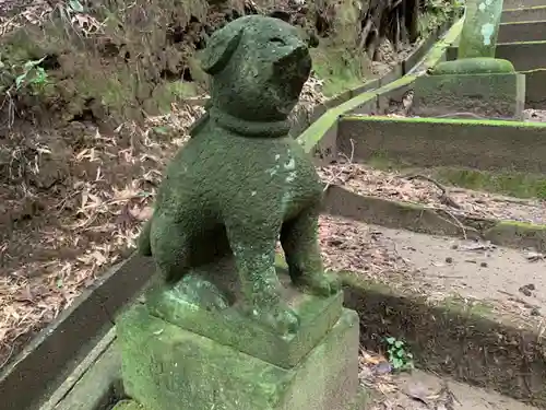 城山神明社の狛犬