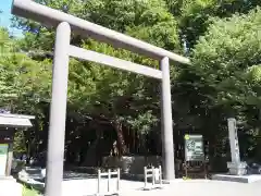 北海道神宮の鳥居