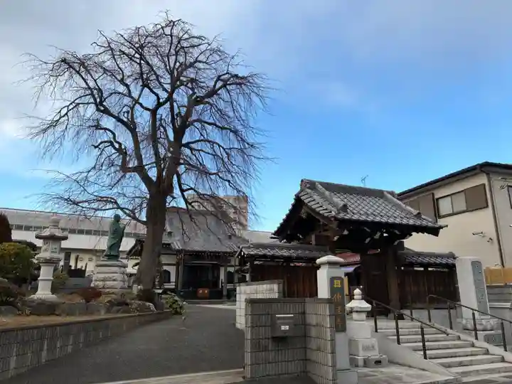 伝法寺(千葉県)