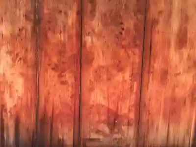 正伝護国禅寺(正伝寺･正傳寺)のその他建物