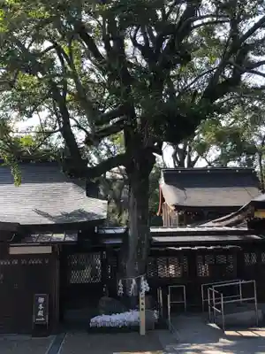 護王神社(京都府)