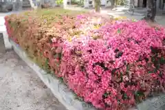 春日神社の自然