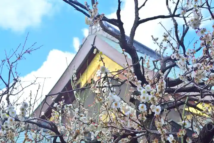 湯島天満宮(東京都)