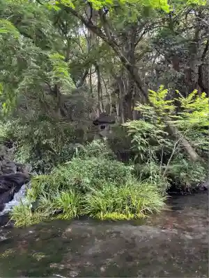 富士山本宮浅間大社(静岡県)