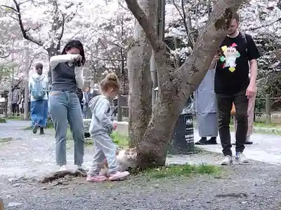 熊野若王子神社(京都府)