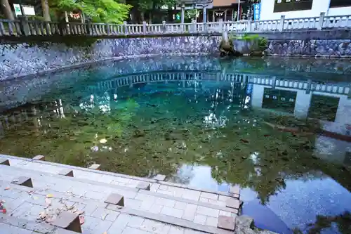 厳島神社の庭園