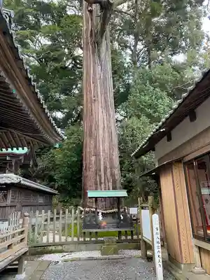 事任八幡宮(静岡県)