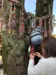 天之御中主神社の建物その他