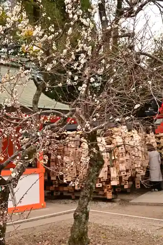 北野天満宮(京都府)