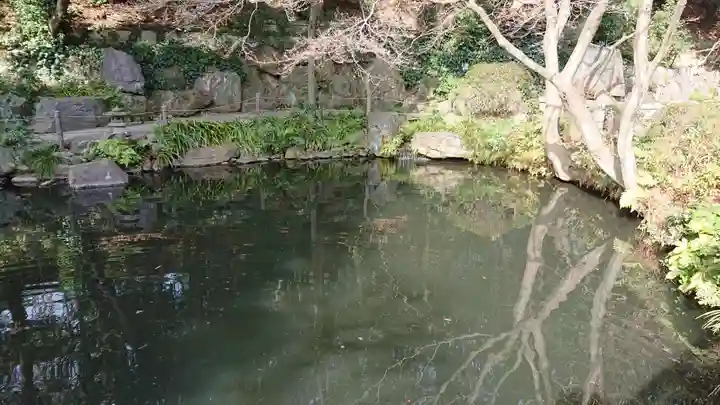 貫井神社の庭園