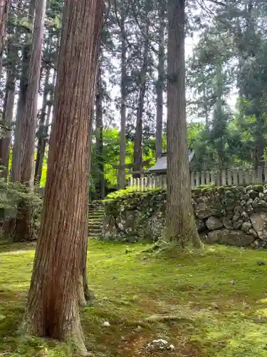 平泉寺白山神社(福井県)