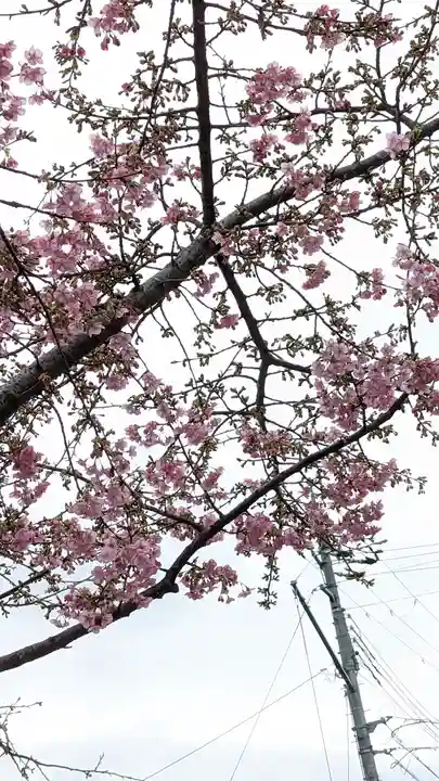 車折神社(京都府)