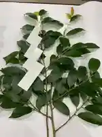 和泉國一之宮 大鳥大社(大阪府)