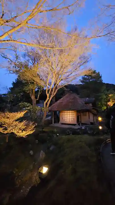 高台寺(高台寿聖禅寺・高臺寺)(京都府)